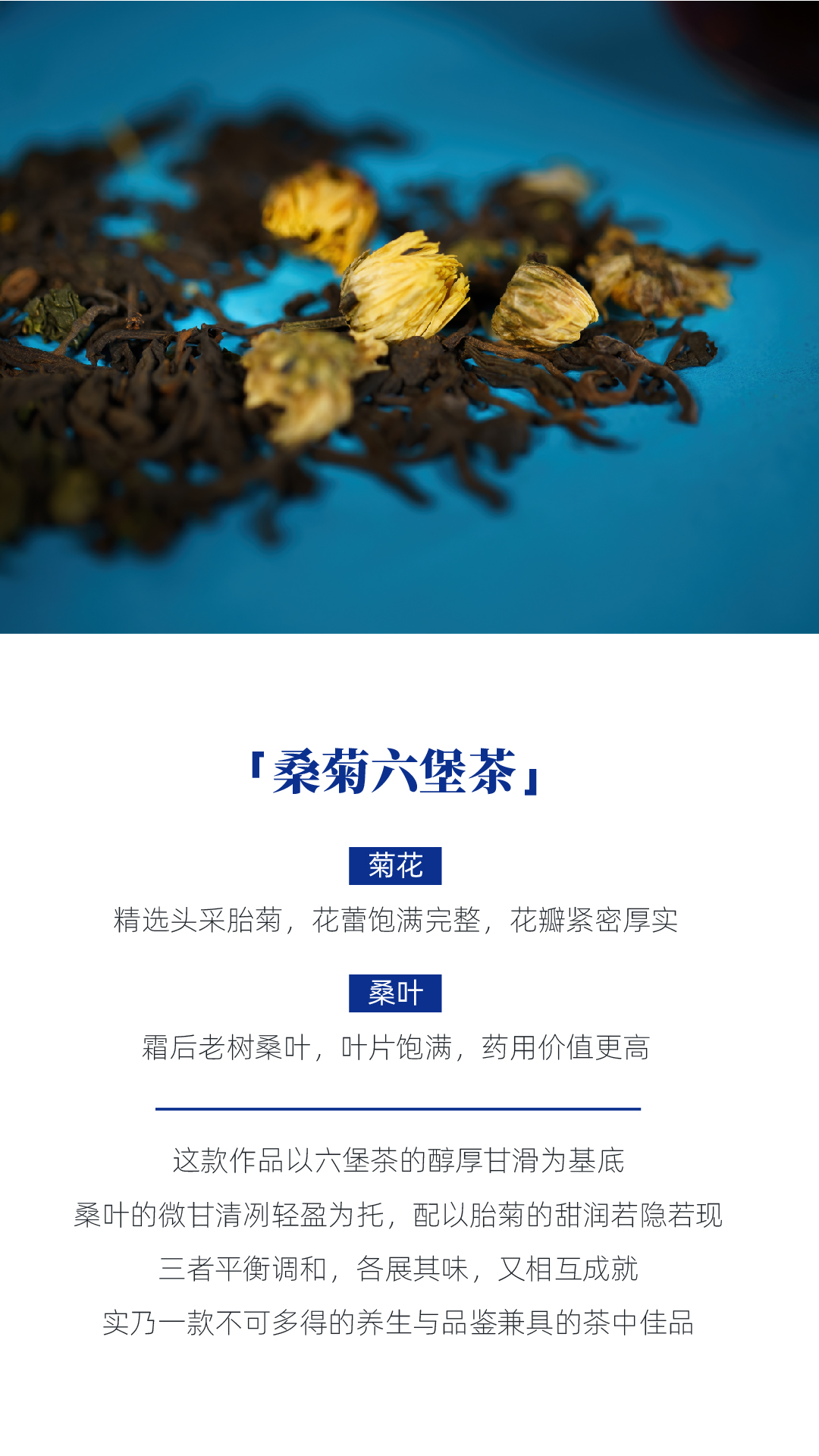 桑菊六堡 闷杯伴侣（品茶错误）_画板 1 副本 4.jpg