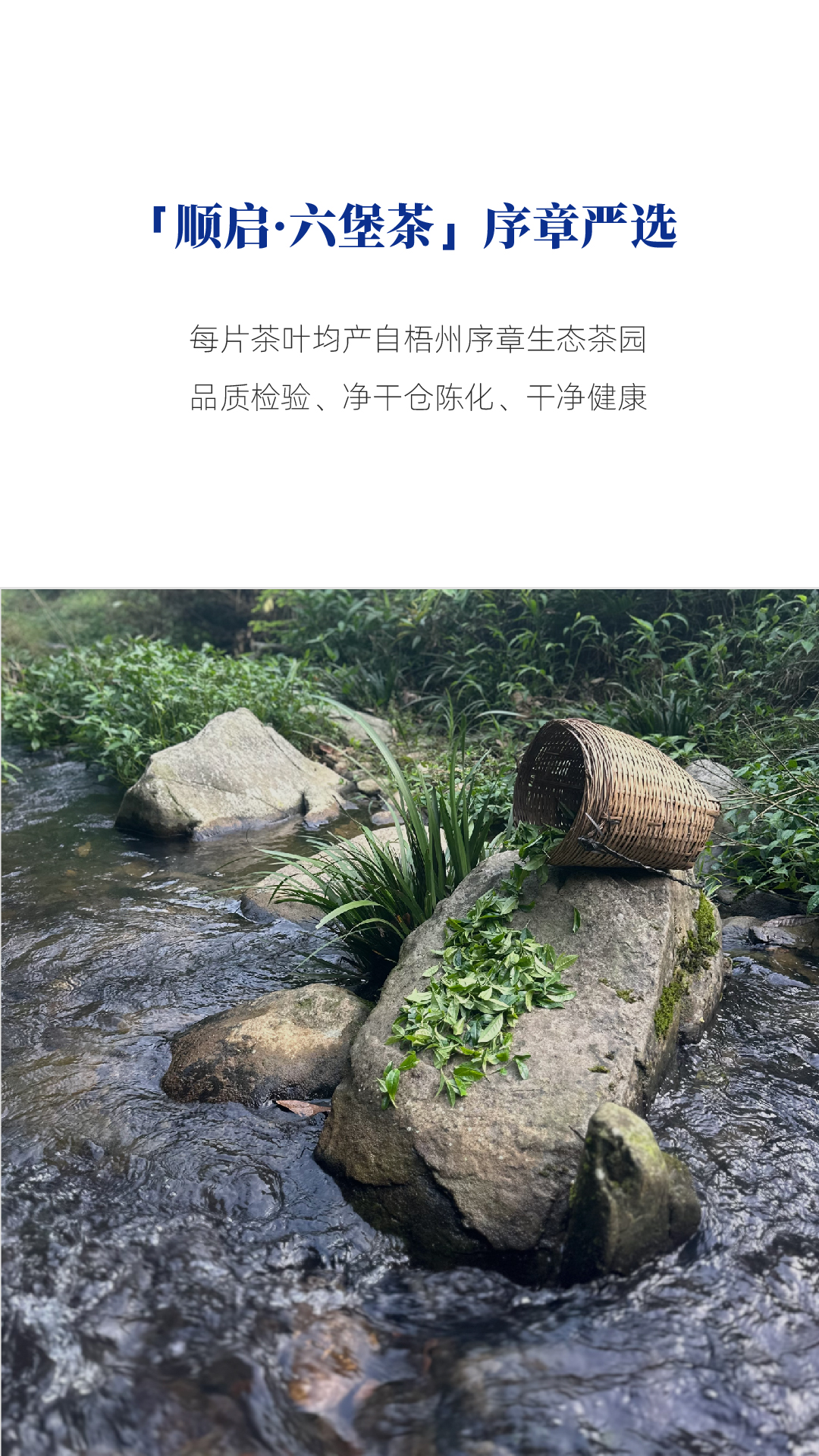 顺启_画板 1 副本 3.jpg